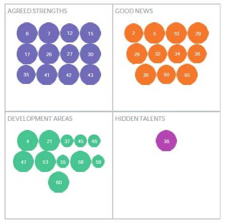 Reporting 13 PAPU NANU2Mk2 Example 360 Degree Feedback Report