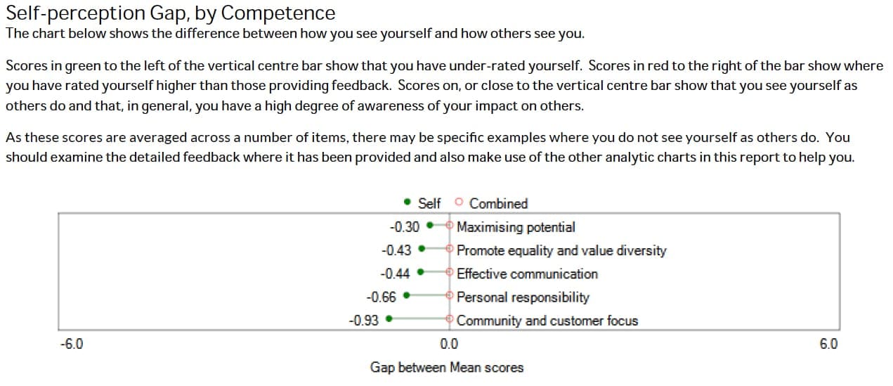Reporting 5 SelfPerceptionGap Example 360 Degree Feedback Report
