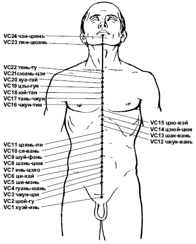 peredne_sredinnyy_meridia