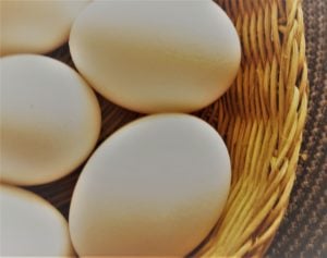 Whole Eggs nashville weight loss