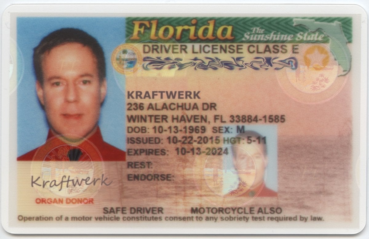 Mr. Kraftwerk's Driver's License