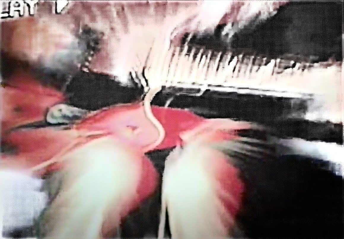 The Black Watch dreamy guitar screen grab