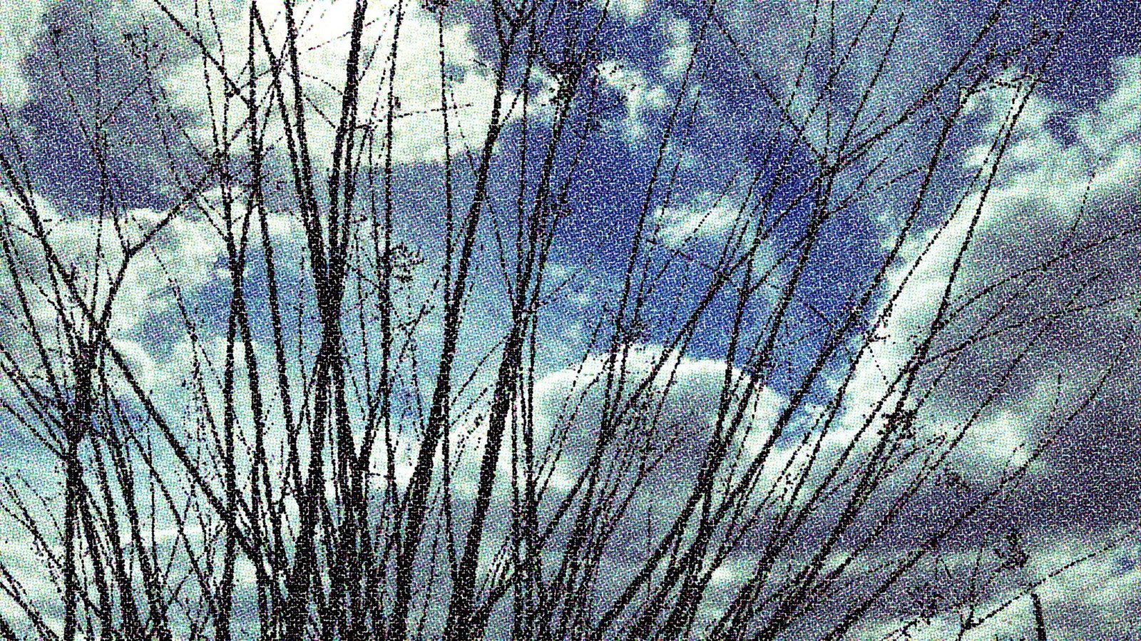 img-1