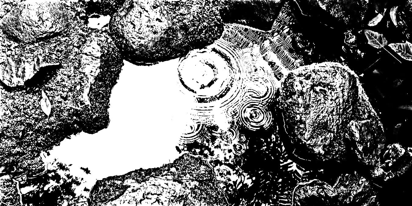 img-1