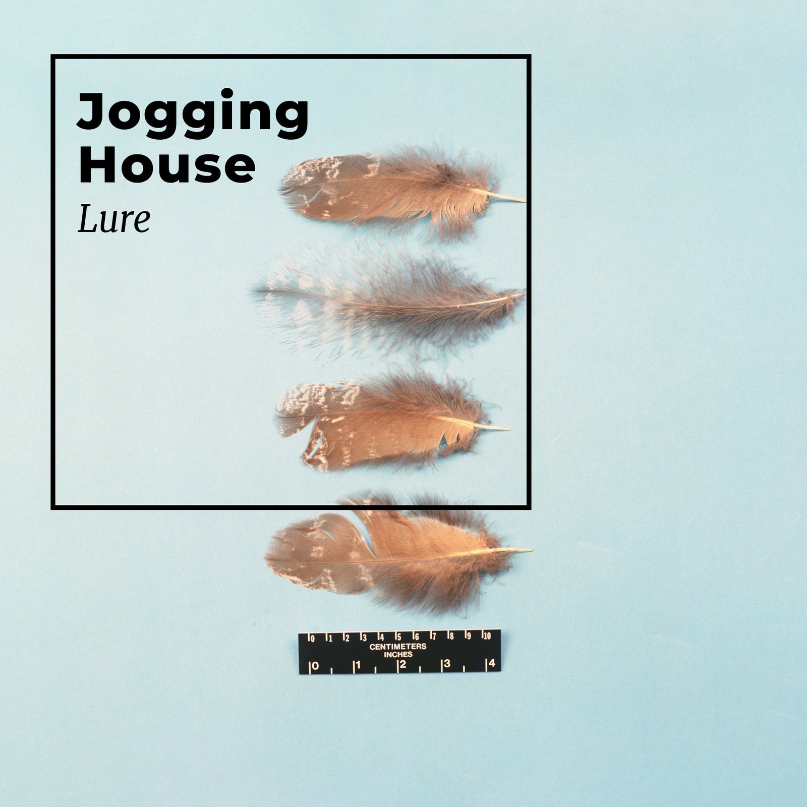 A review of the album Lure, by hopeful ambient artist Jogging House.