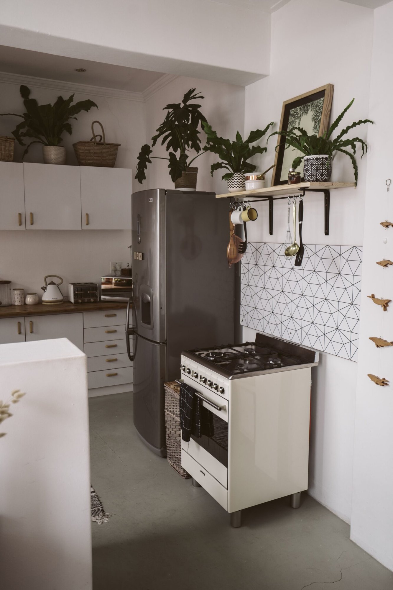 Stylish kitchen with plants