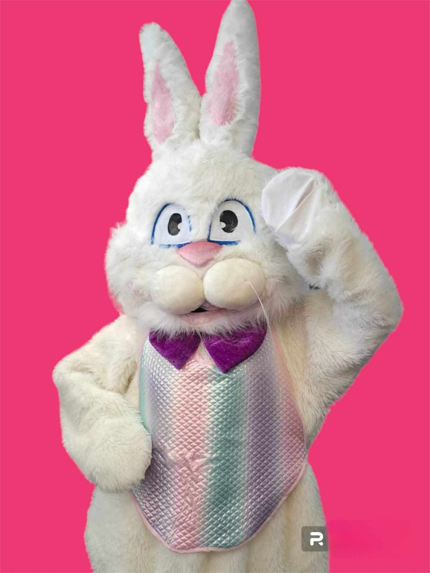 easter bunny blue eyes