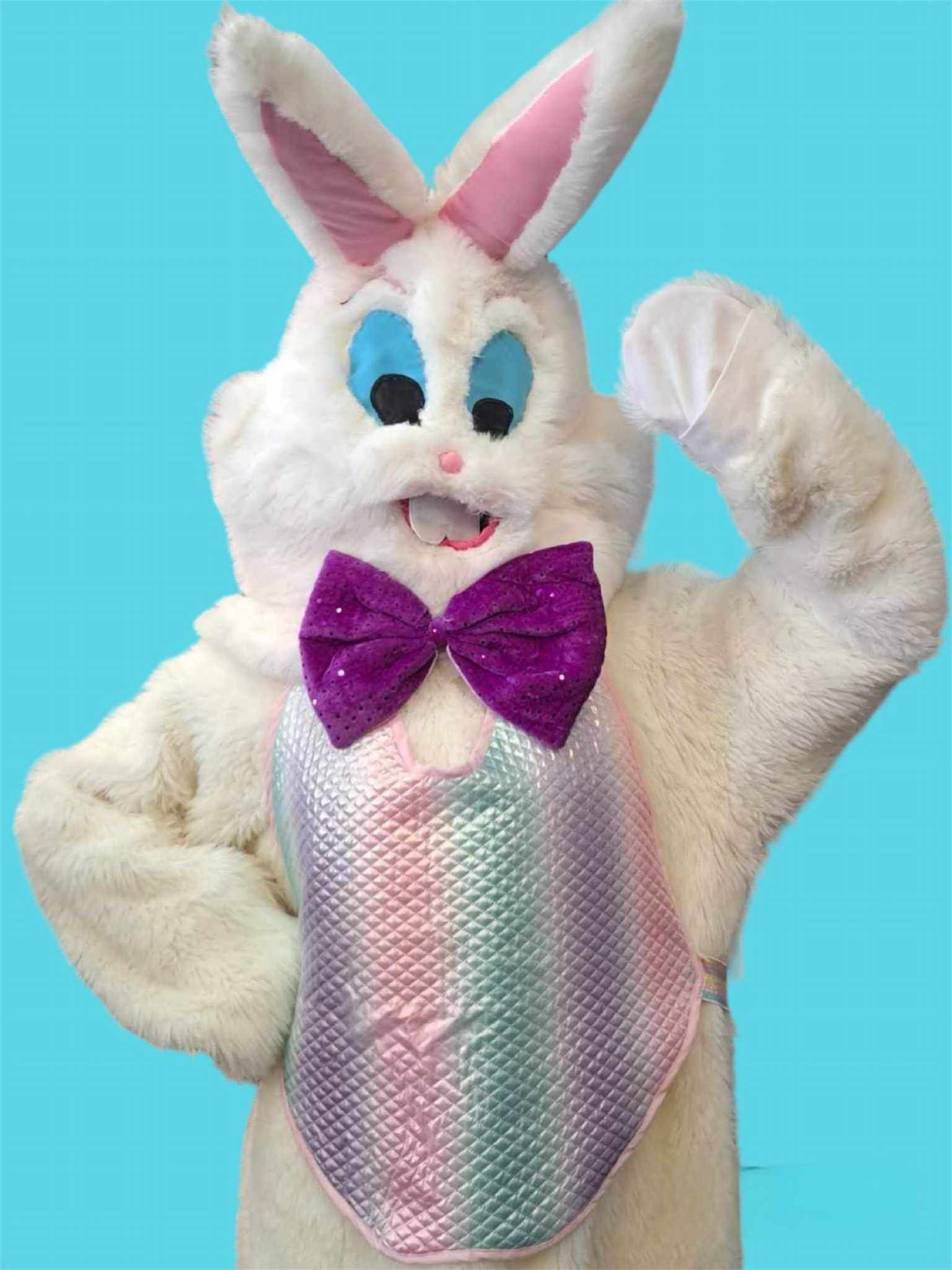 easter bunny blue eyes