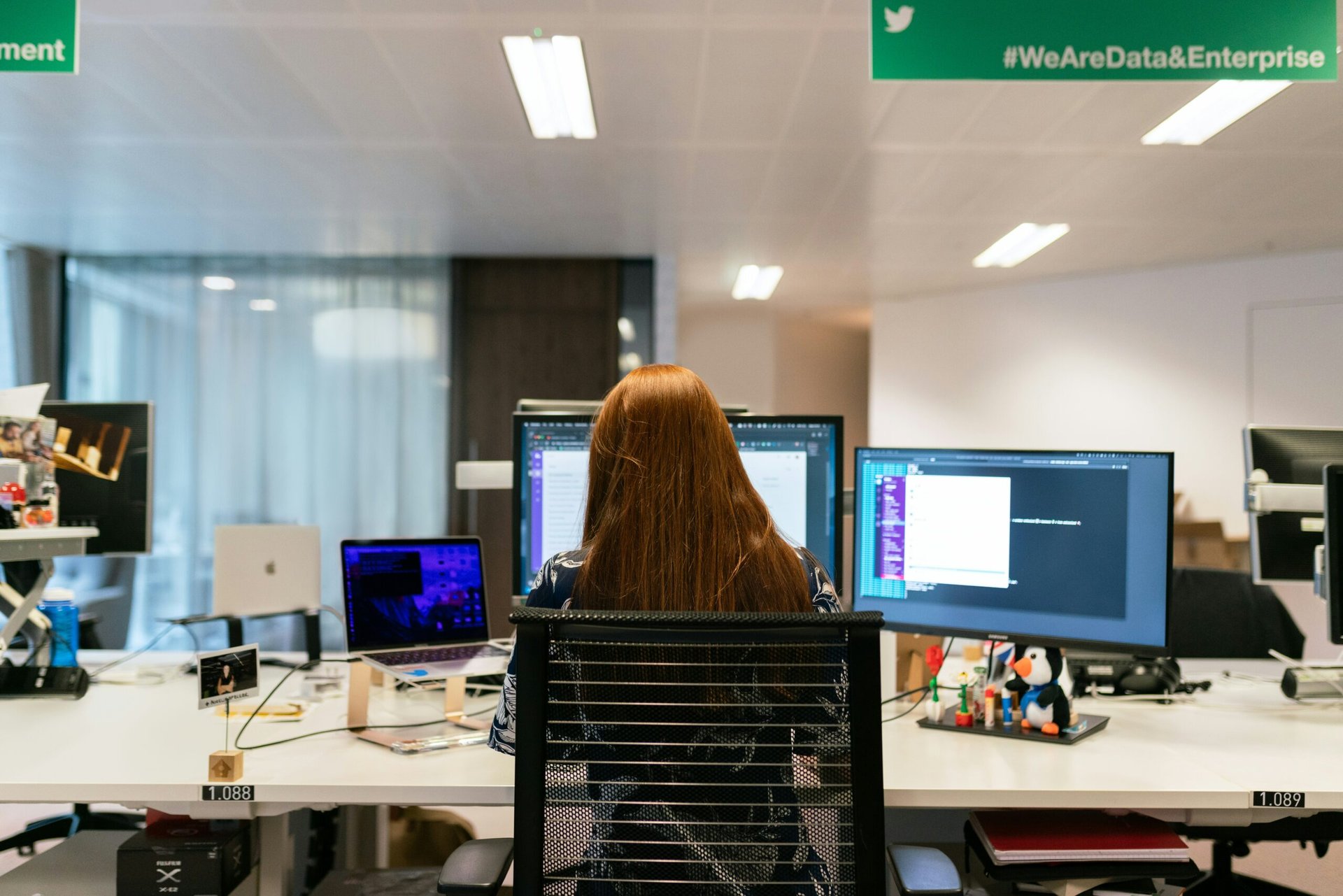 Female software engineer Female software engineer working at her desk.