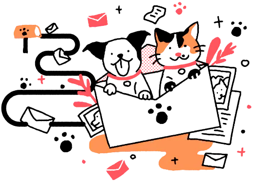 gato y perro en sobre