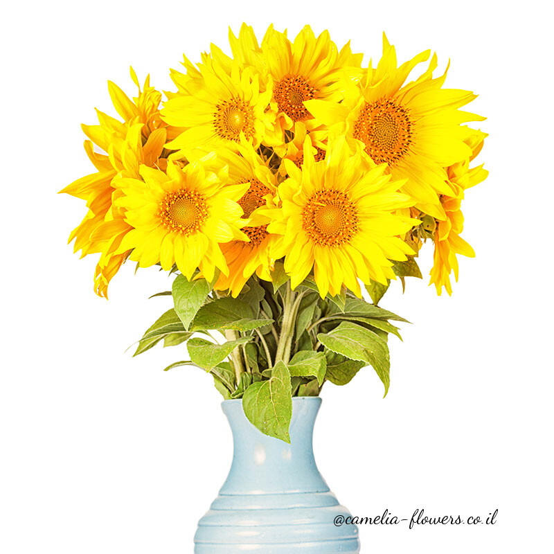 A bouquet of yellow sunflowers in a blue vase available for flower delivery from a floral shop.