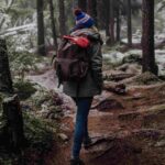 Free Trade Agreements