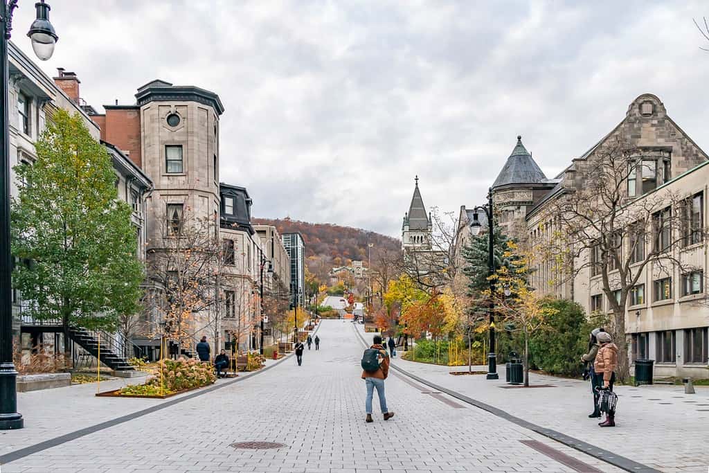 Quebec Immigration Program