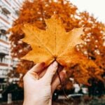 Latest British Columbia PNP Draw