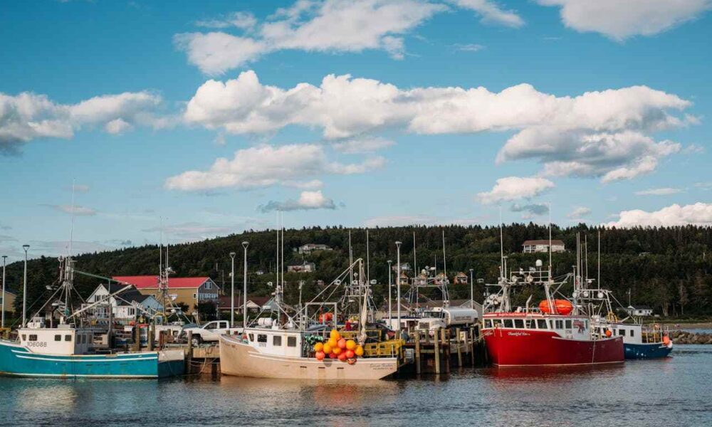 New Brunswick’s First 2025 Immigration Draws 498 Candidates Invited