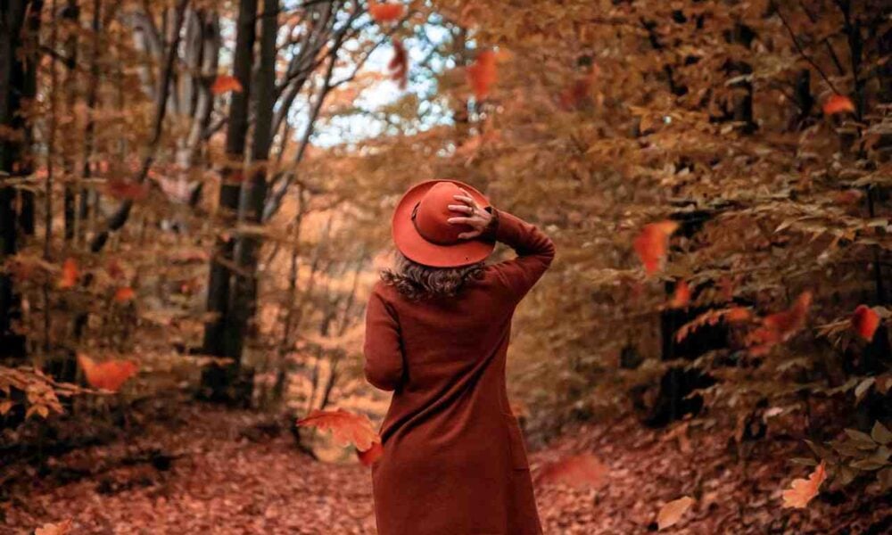 Prince Edward Island PNP