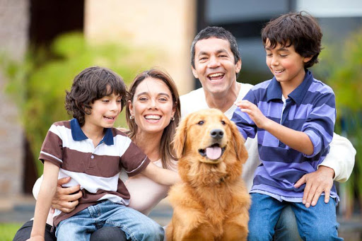 Canada eases travel restrictions for families