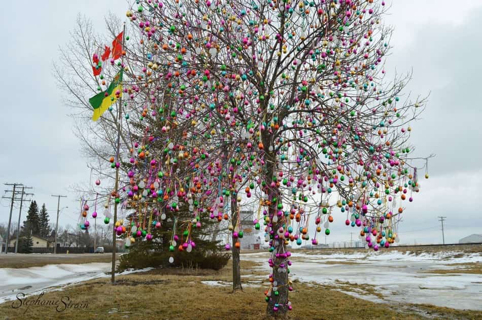 Saskatchewan issues 551 invitations during PNP draw