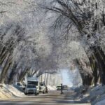 Manitoba Immigration System Continues to Welcome Candidates Despite Temporary Challenges