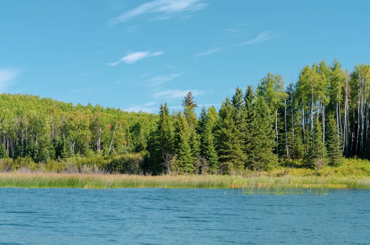 Manitoba PNP