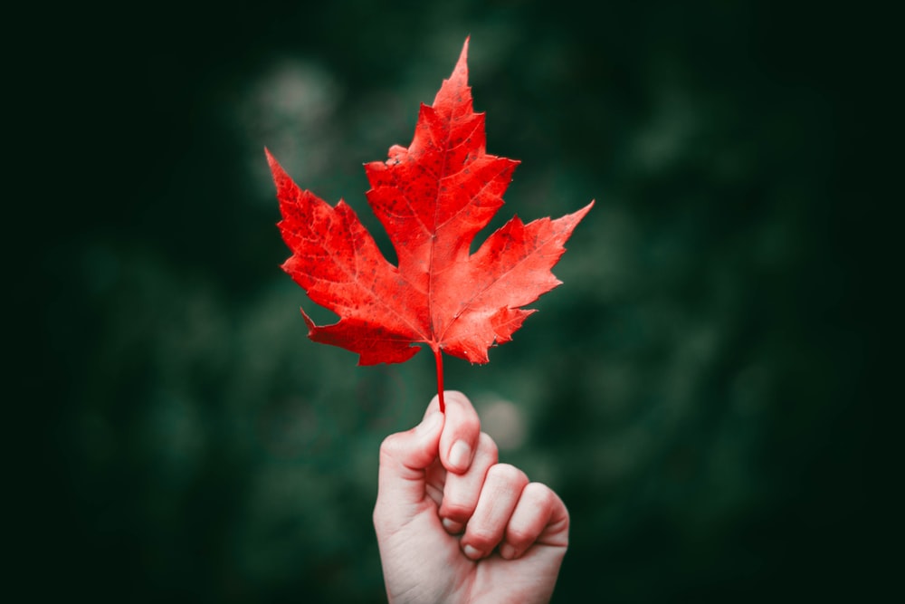 British Columbia PNP