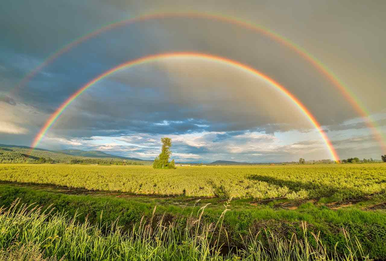 IRCC Brings New Changes to Canada Agri-Food Pilot Program