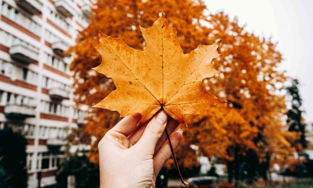 Latest British Columbia PNP Draw