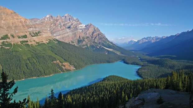 Canadian permanent residents