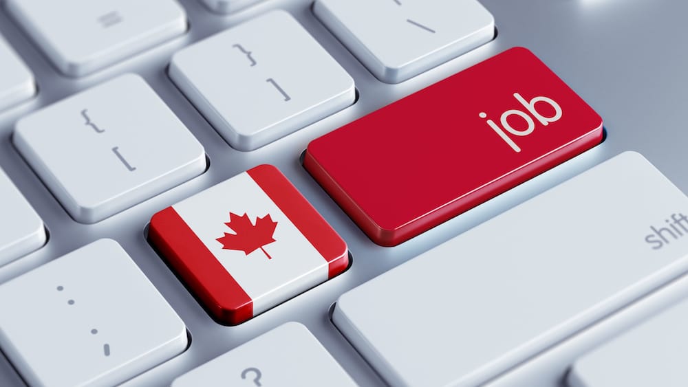 Canada’s best tech jobs forecast for the year 2020