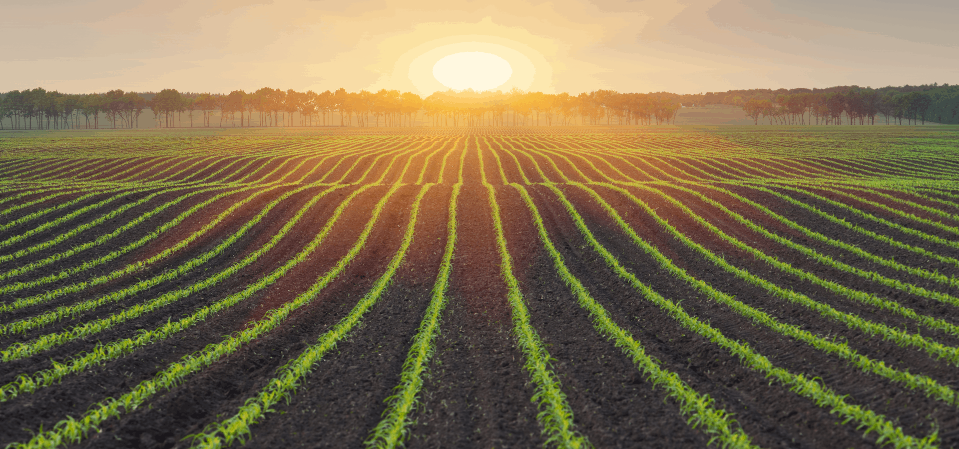 Agri-Food Immigration Pilot