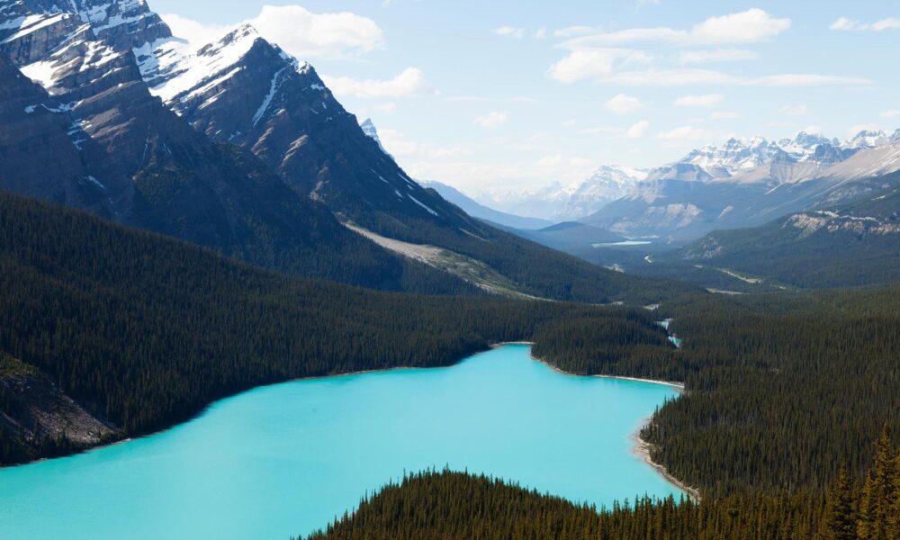 Alberta Express Entry & Provincial Nomination