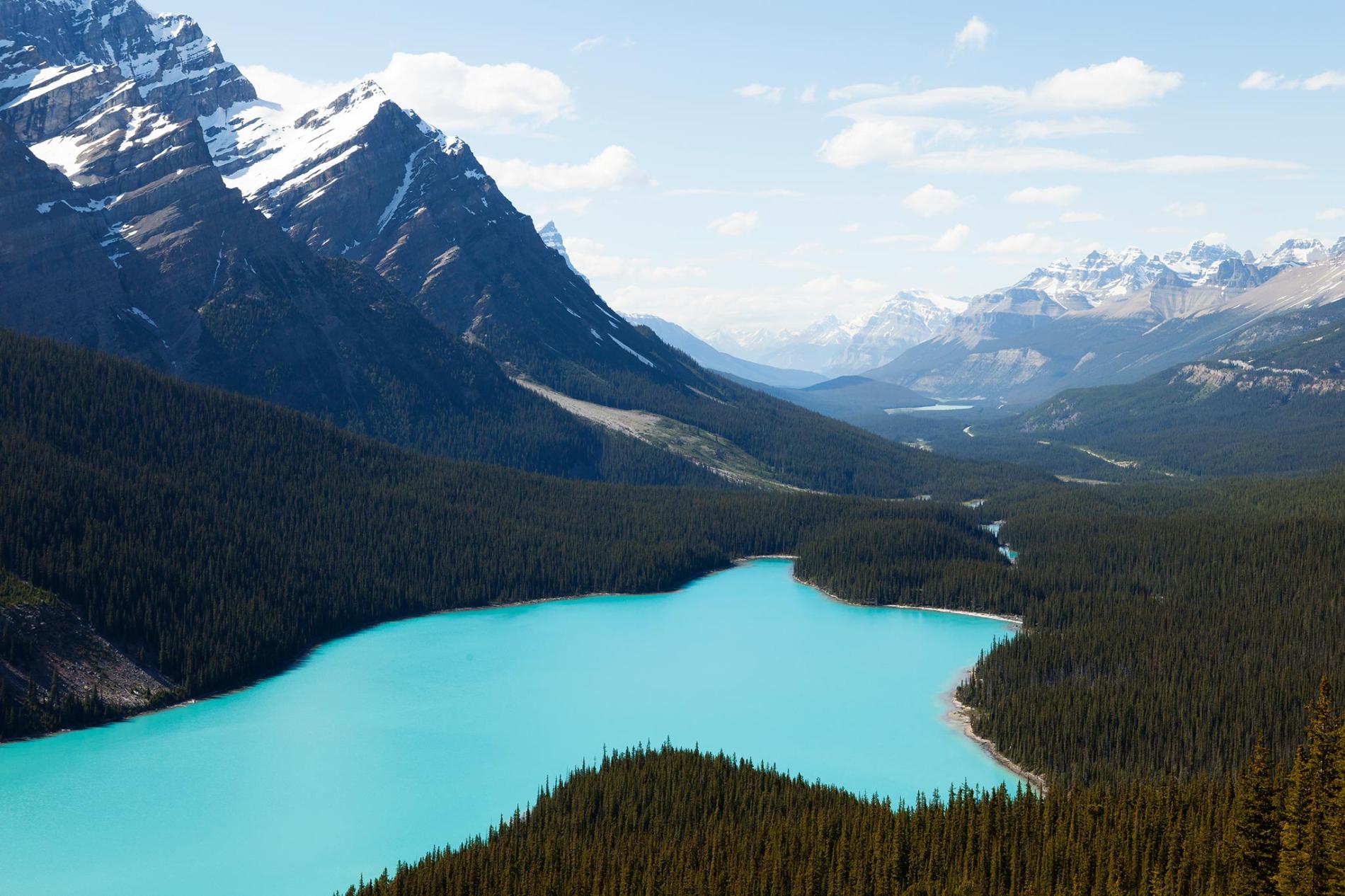 Alberta Express Entry & Provincial Nomination