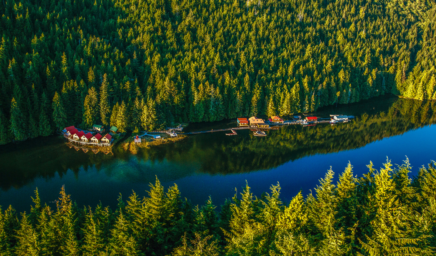 British Columbia Tech Pilot BC PNP Provincial Nominations