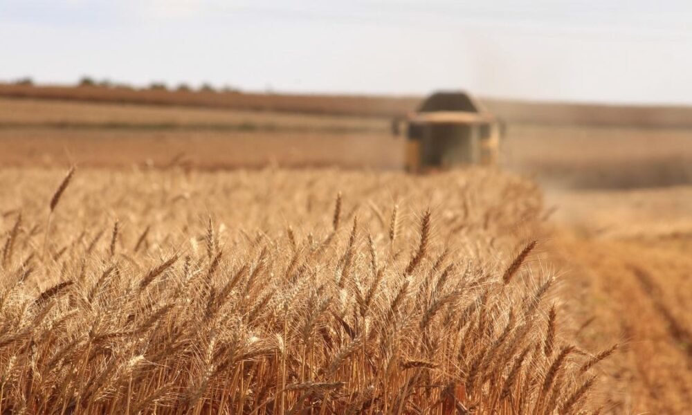 canada agri-food industry