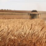 canada agri-food industry