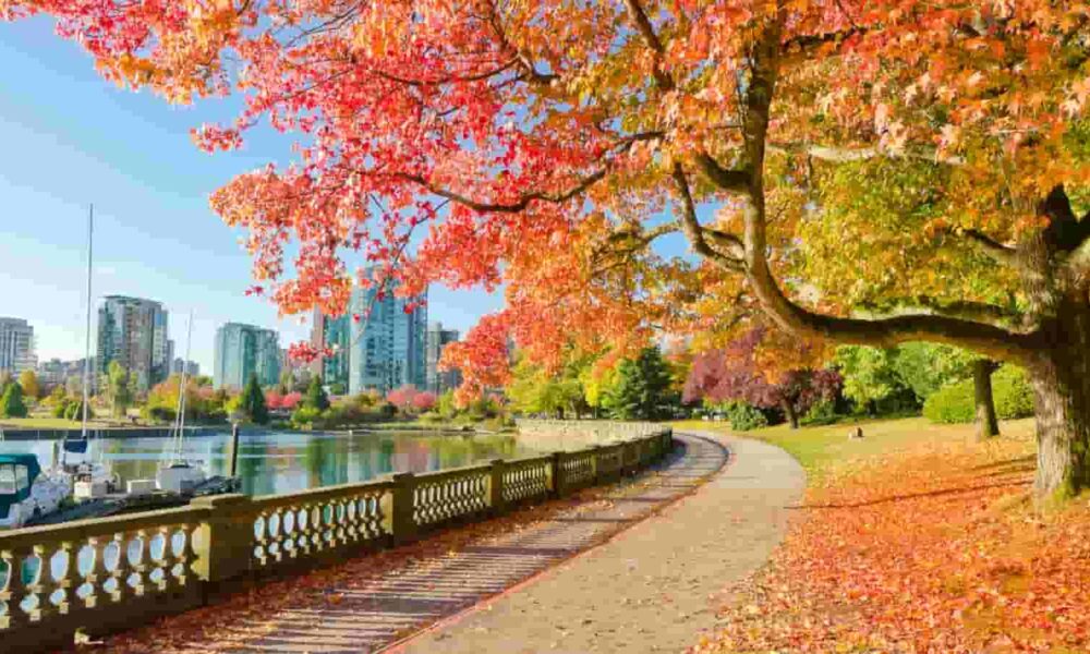 Canadian Manitoba immigration