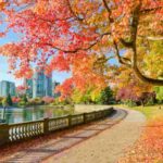 Canadian Manitoba immigration