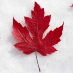 Manitoba Issues Invitations to to Candidates In Recent Draw
