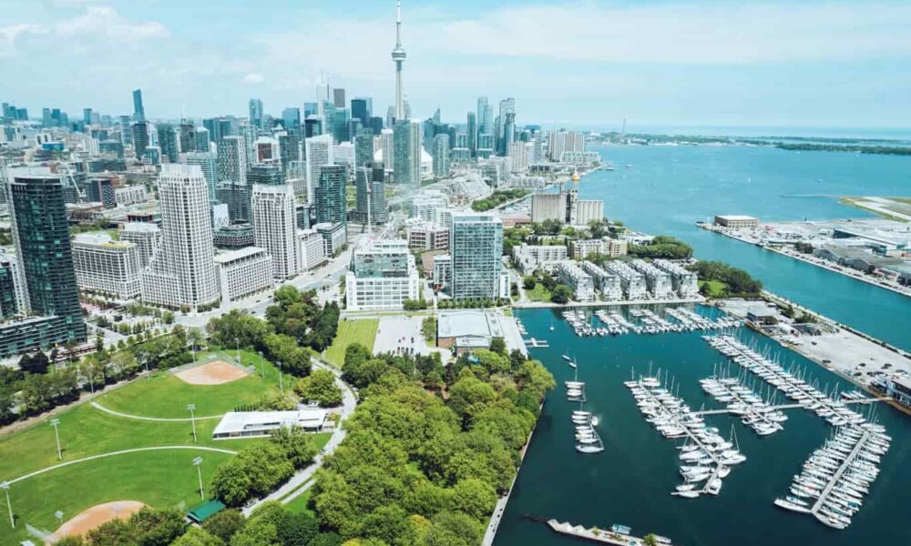 Employment services can assist newcomers in adapting to the expectations of Canadian employers