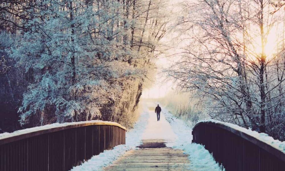Canadian Immigration in December What could happen