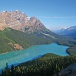 Canadian permanent residents