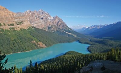 Canadian permanent residents