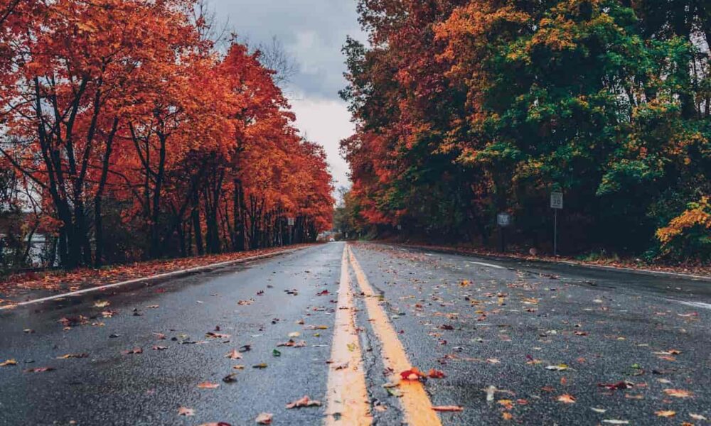 Manitoba PNP Draw Invites 206 Candidates