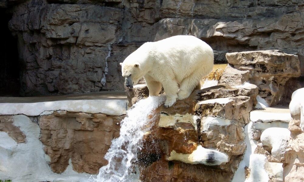 Manitoba Provincial Nominee