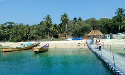 northbay immigration stream