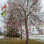 Saskatchewan issues 551 invitations during PNP draw