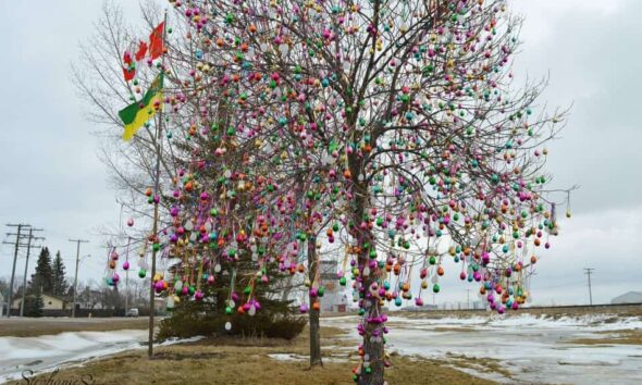 Saskatchewan issues 551 invitations during PNP draw