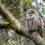 British Columbia Express Entry Draw