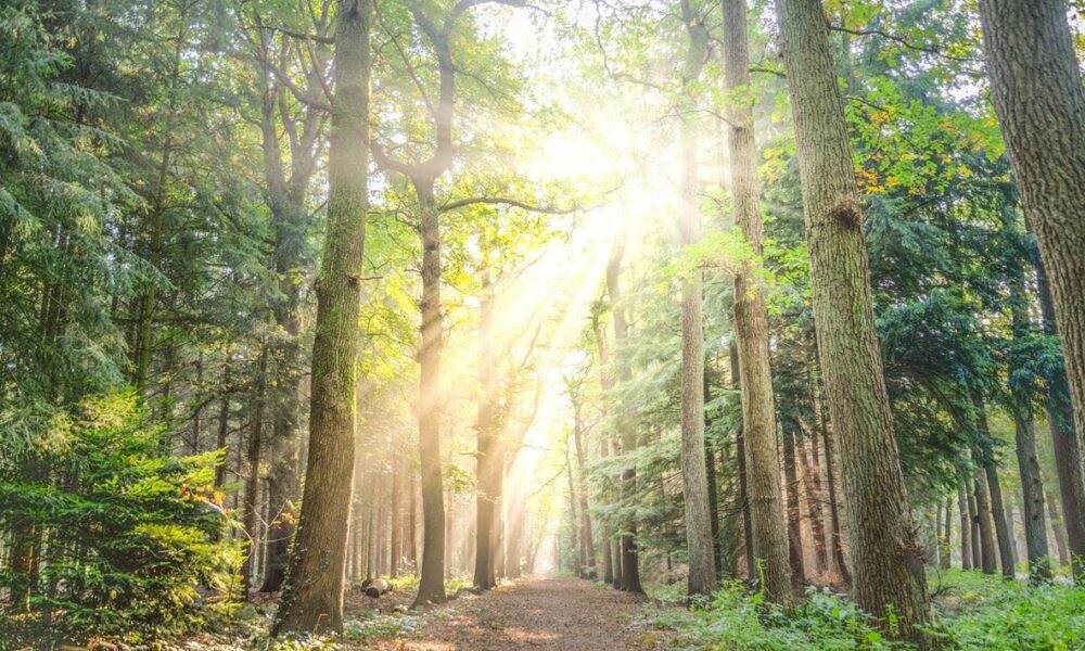 Canada Express Entry