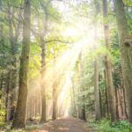 Canada Express Entry